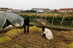 土壤養分檢測儀有哪些特殊功能和效果